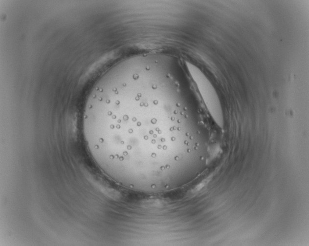 X0000071330404200607212012