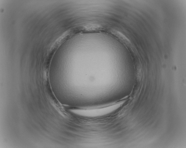 X0000071330405200607212012