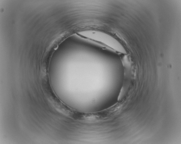 X0000071330407200607212012