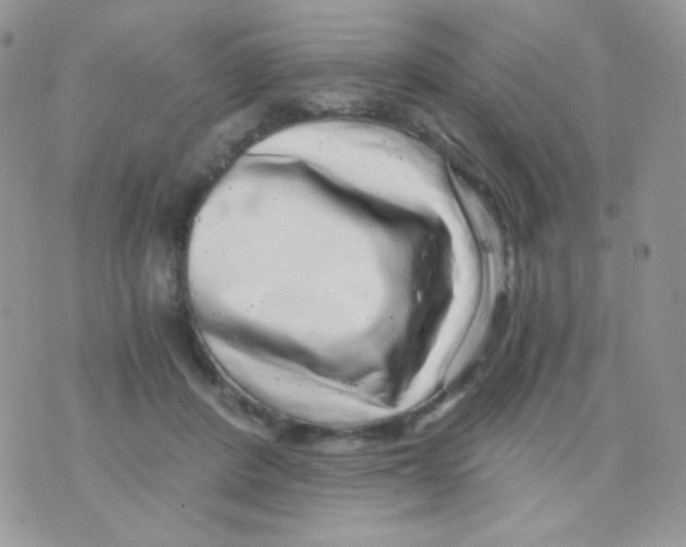 X0000071330408200607212012