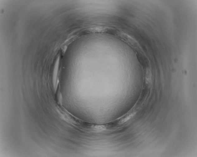 X0000071330409200607212012