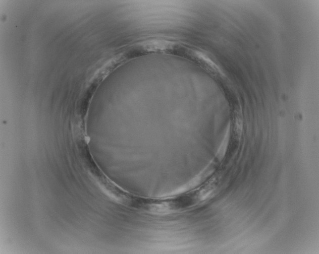 X0000071330411200607212012