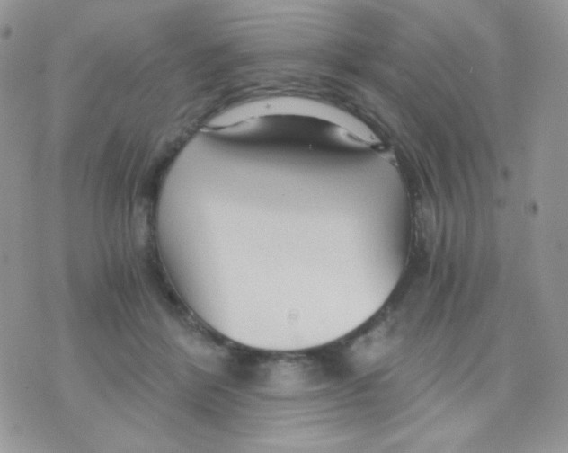 X0000071330412200607212012