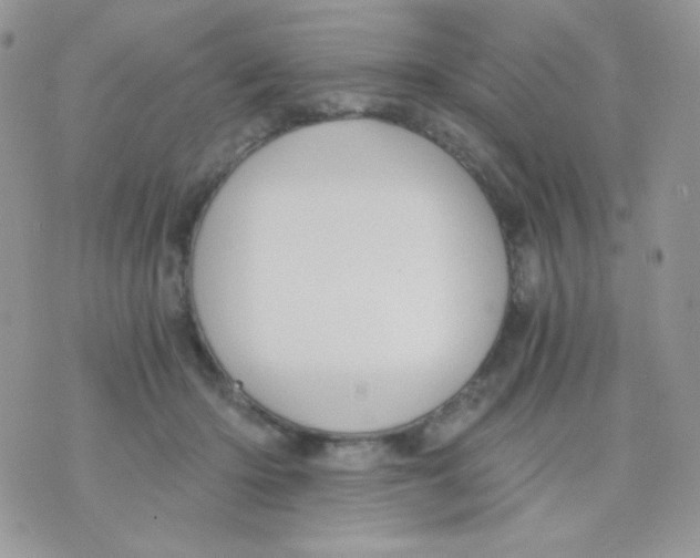 X0000071330414200607212012