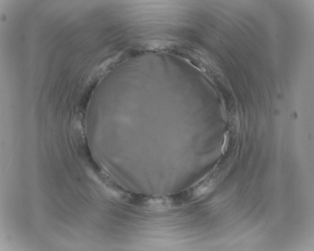 X0000071330415200607212012