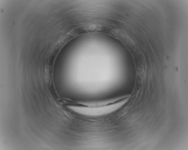 X0000071330416200607212012