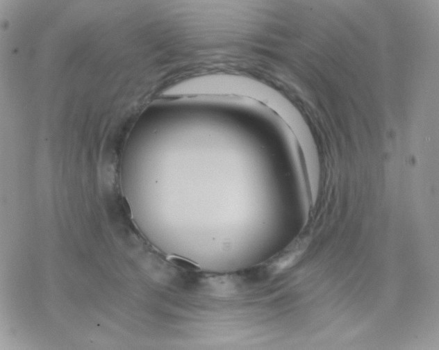 X0000071330417200607212012