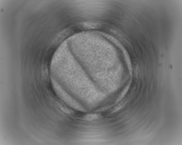 X0000071330418200607212012