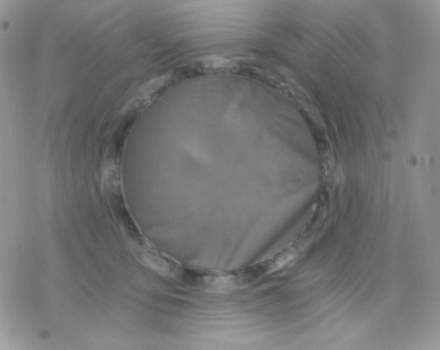 X0000071330419200607212012