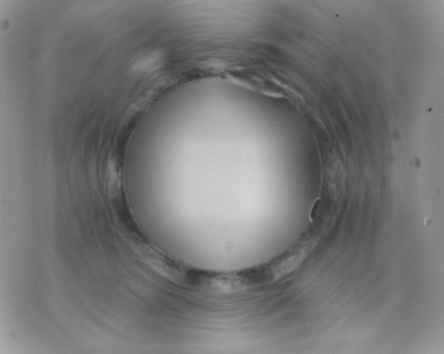 X0000071330420200607212012