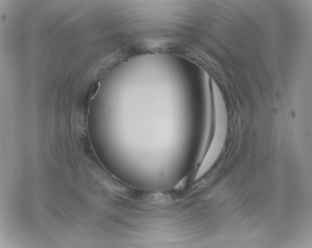 X0000071330421200607212012