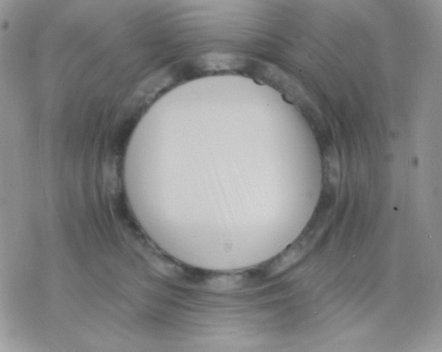 X0000071330422200607212012