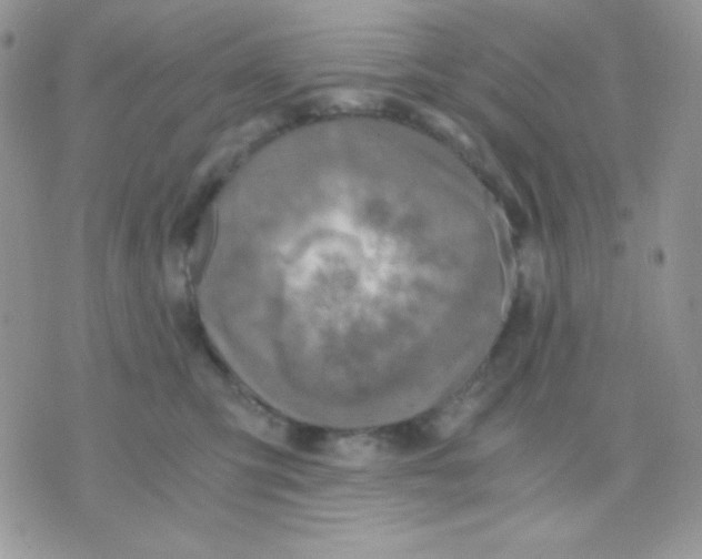 X0000071330423200607212012