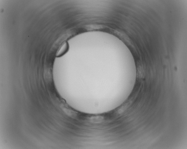 X0000071330426200607212012