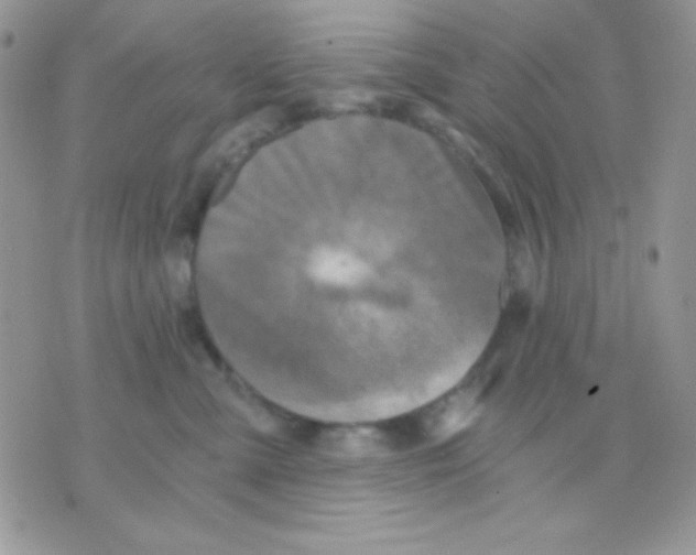 X0000071330427200607212012