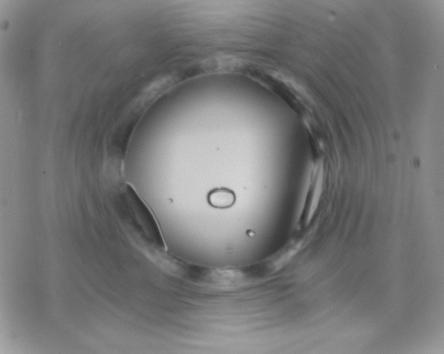 X0000071330429200607212012