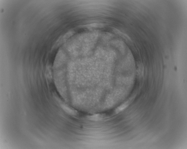 X0000071330430200607212012