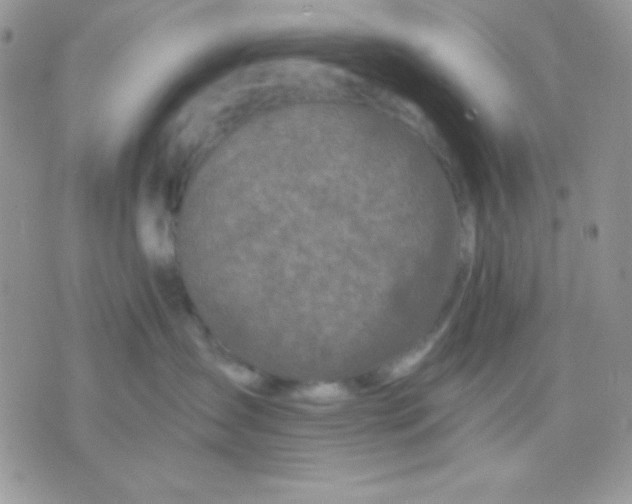 X0000071330431200607212012