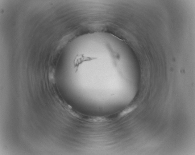 X0000071330432200607212012