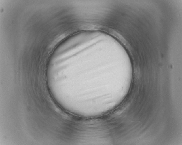 X0000071330433200607212011