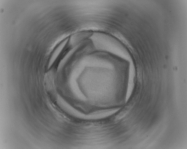 X0000071330434200607212011