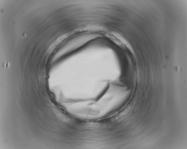 X0000071330437200607212011