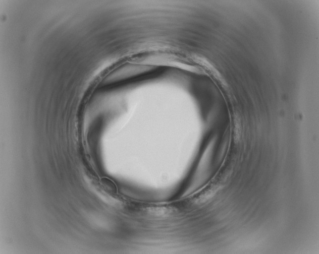 X0000071330439200607212011