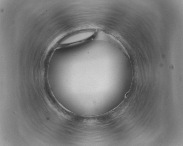 X0000071330440200607212011