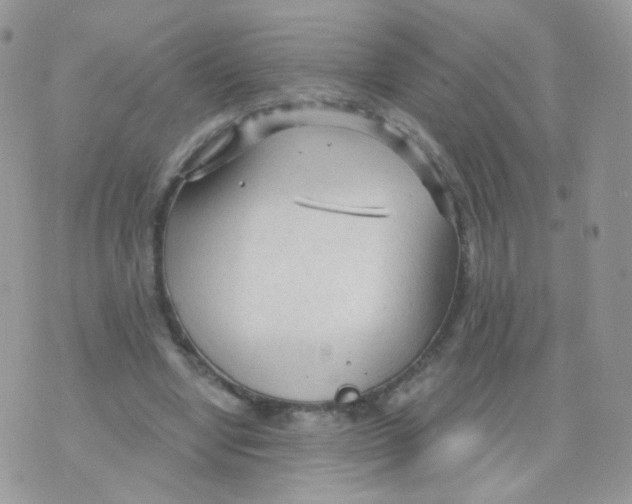 X0000071330442200607212011