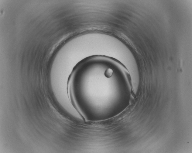 X0000071330444200607212011