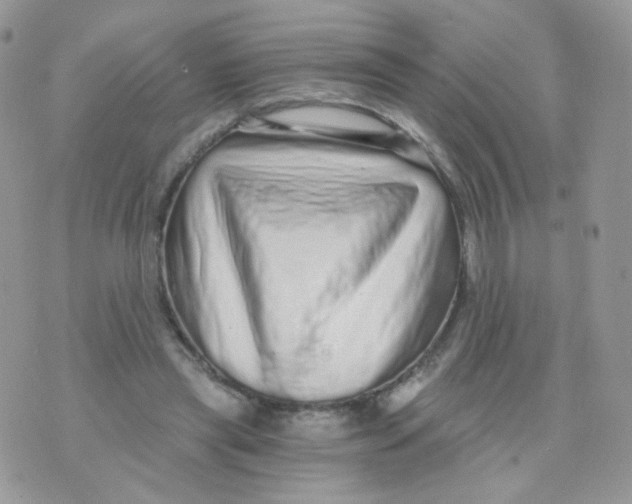 X0000071330445200607212011