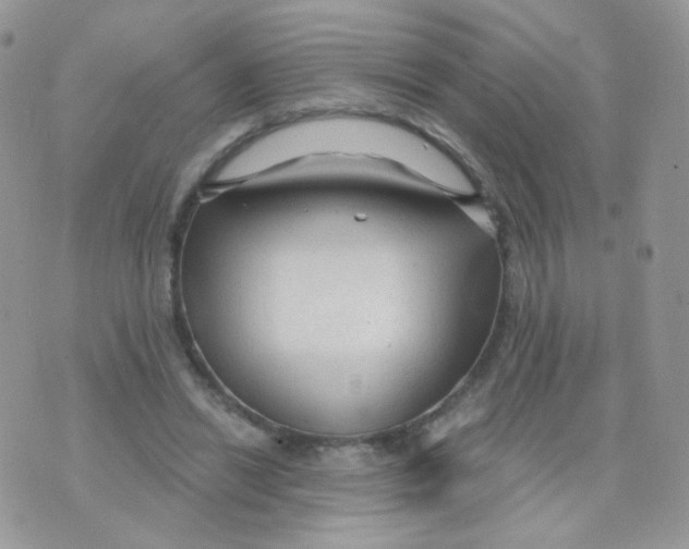 X0000071330446200607212011