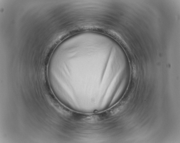 X0000071330447200607212011