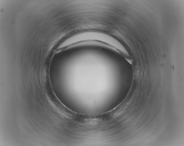 X0000071330448200607212011