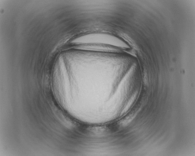 X0000071330449200607212011