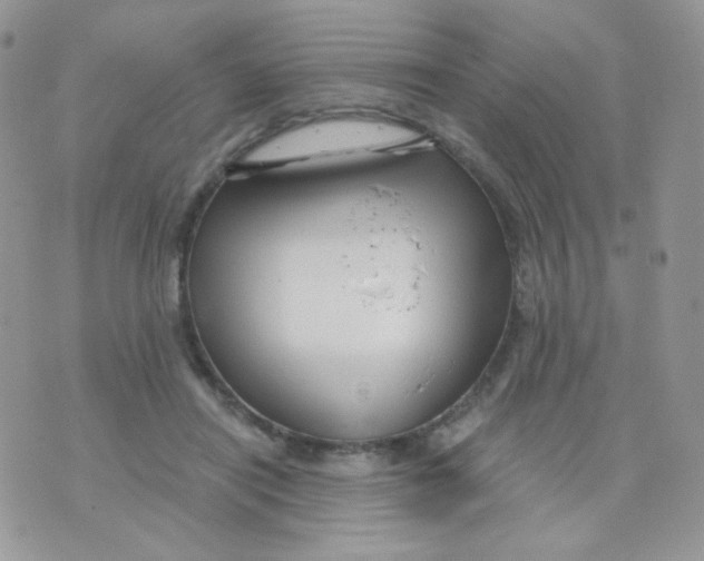 X0000071330454200607212011