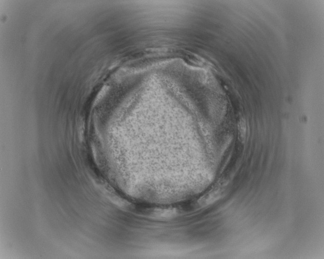 X0000071330458200607212011