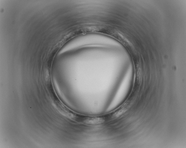 X0000071330459200607212011