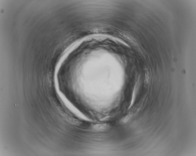 X0000071330461200607212011