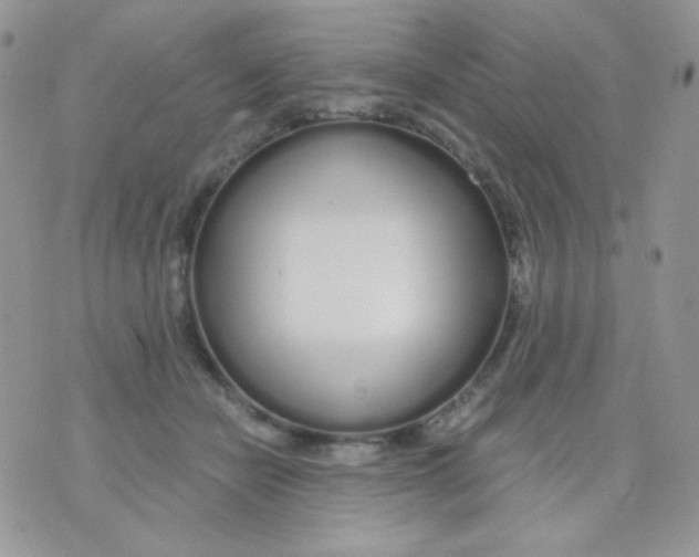 X0000071330462200607212011