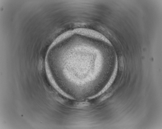 X0000071330463200607212011