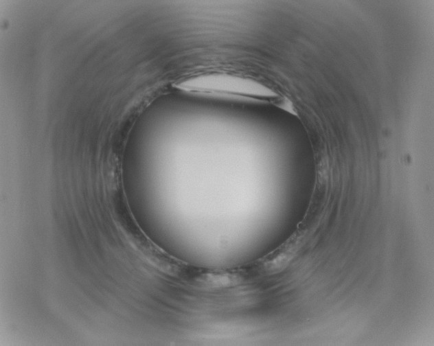 X0000071330464200607212011