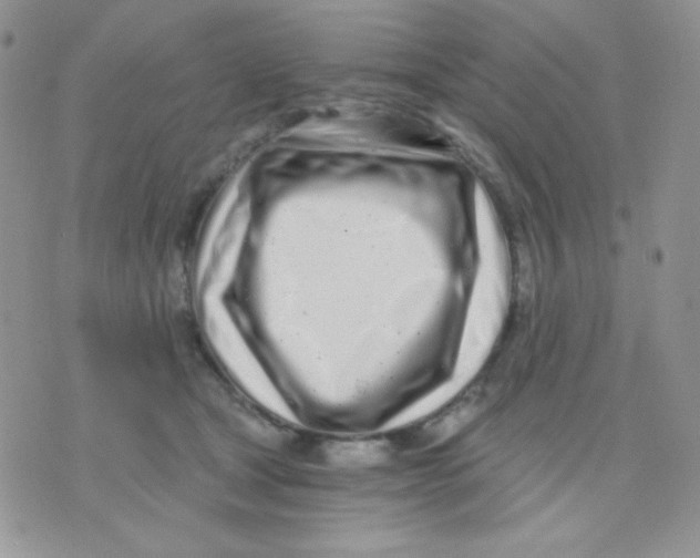 X0000071330465200607212011