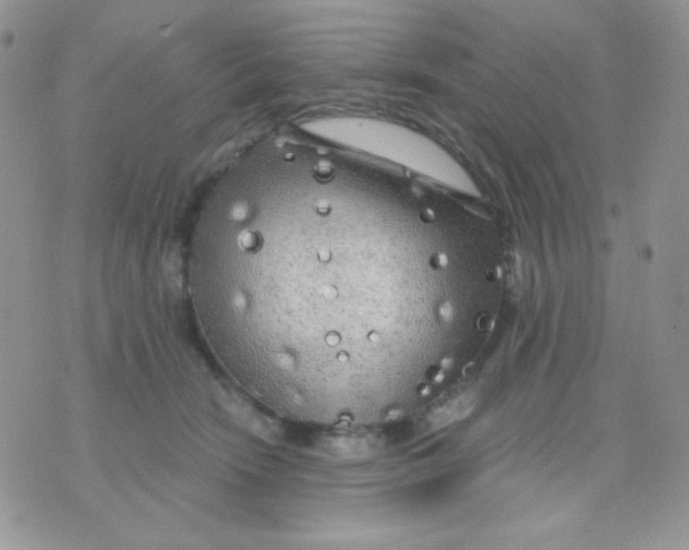 X0000071330466200607212011