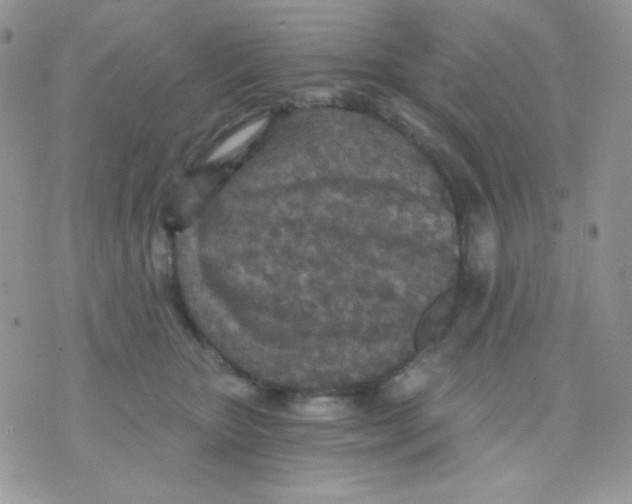 X0000071330467200607212011