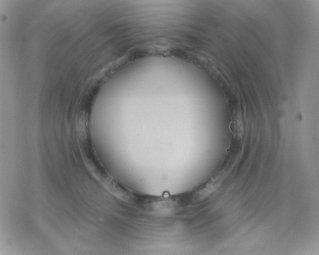 X0000071330468200607212011