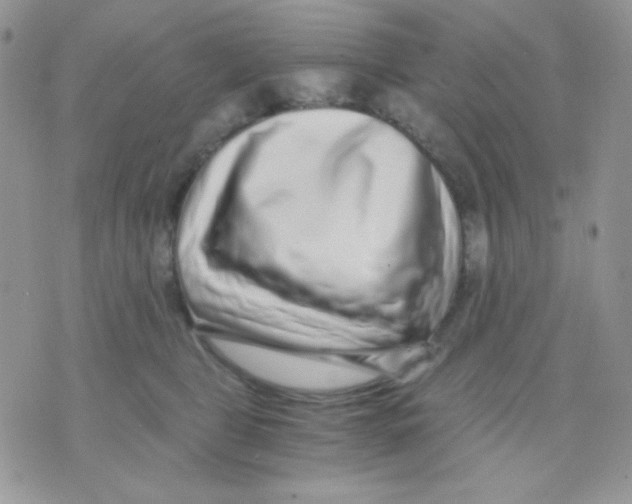 X0000071330469200607212011