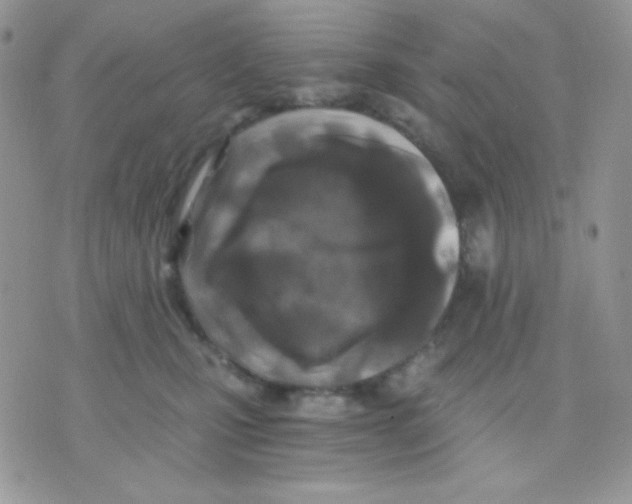 X0000071330471200607212011