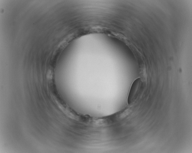 X0000071330472200607212011