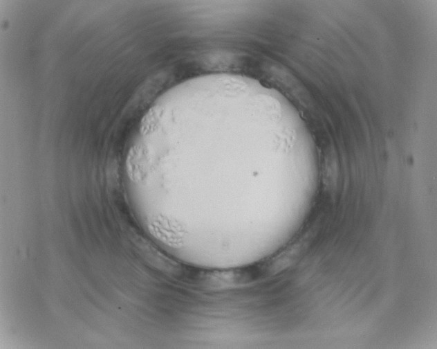 X0000071330473200607212011